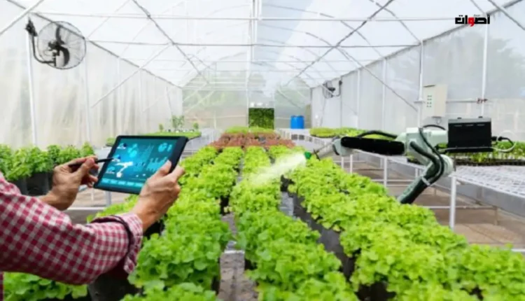 القطاع الزراعي بالمغرب في 2025: نحو اعتماد التقنيات الحديثة والابتكارات لتعزيز الإنتاجية