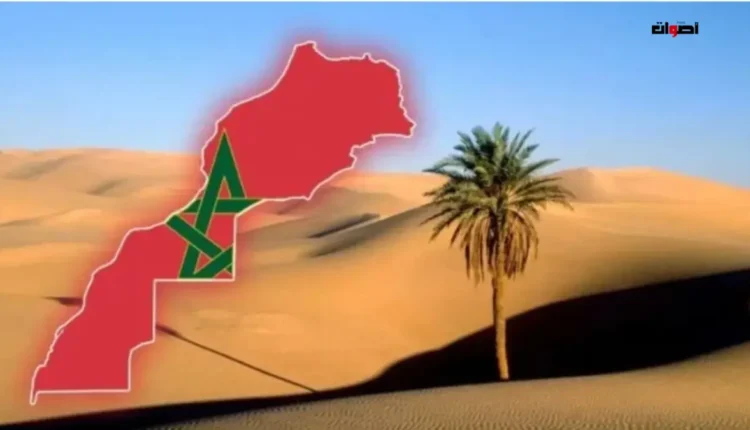 تطورات ملف الصحراء المغربية: عروض سياسية وإنجازات ميدانية في عام 2025