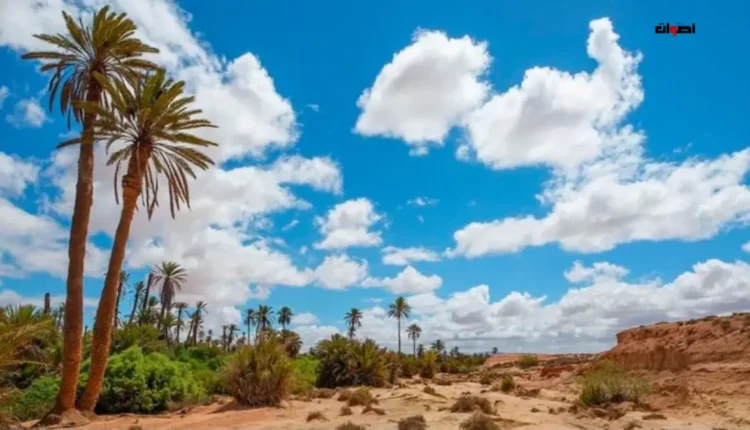 توقعات طقس اليوم الاثنين بالمغرب