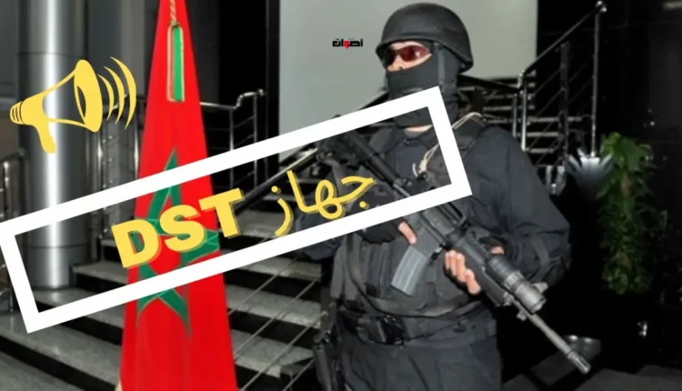 استخبارات "الديستي" تدير حملة أمنية في الصويرة تثمر عن توقيف "بزناس" وحجز كميات هائلة من المخدرات