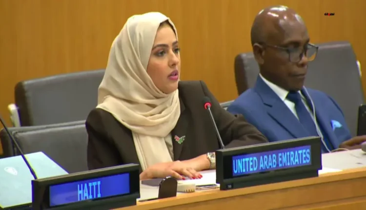 لجنة الـ24 التابعة للأمم المتحدة،