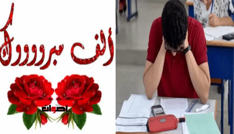 نجاح حوالي 69.66% من الطلاب في وضعية إعاقة خلال امتحانات الباكالوريا 2025