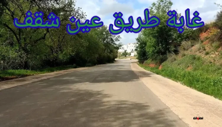 طريق غابة عين شقف بفاس: معاناة مستمرة وتجاهل طويل الأمد يهدد ثروة طبيعية وأمان سكان المنطقة