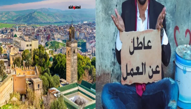المدينة العلمية تحت الضغط: تحديات البطالة والأمن وتأثيرها على شباب الحضارة