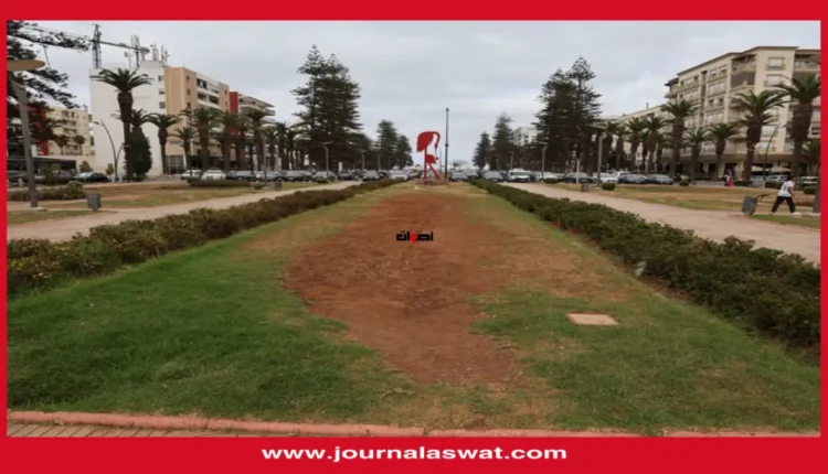 منتخبون يوجهون انتقادات لاذعة لرئيس جماعة المحمدية: “مدينة الزهور” تذبل وغياب التنمية يثير الاستياء