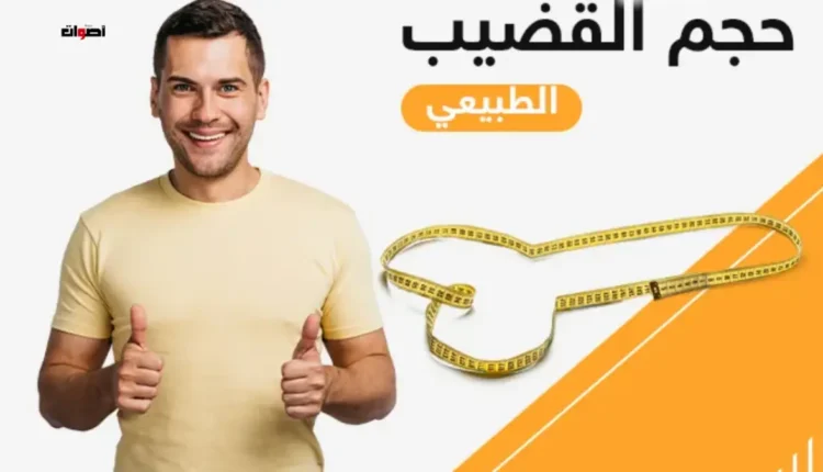 هل حجم القضيب يؤثر على الإنجاب؟ الحقيقة العلمية التي يجهلها الكثيرون