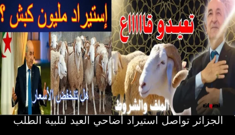 الجزائر تواصل استيراد أضاحي العيد لتلبية الطلب المتزايد وسط انتقادات لغياب الإنتاج المحلي
