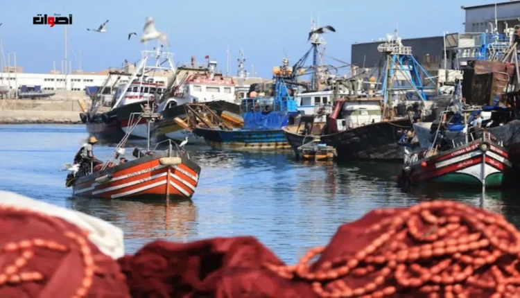 مهنيو الصيد التقليدي يرفضون تصنيف القطاع كـ”تخصص” ويطالبون بحوار وطني شامل لحمايته من الصيد بالجر