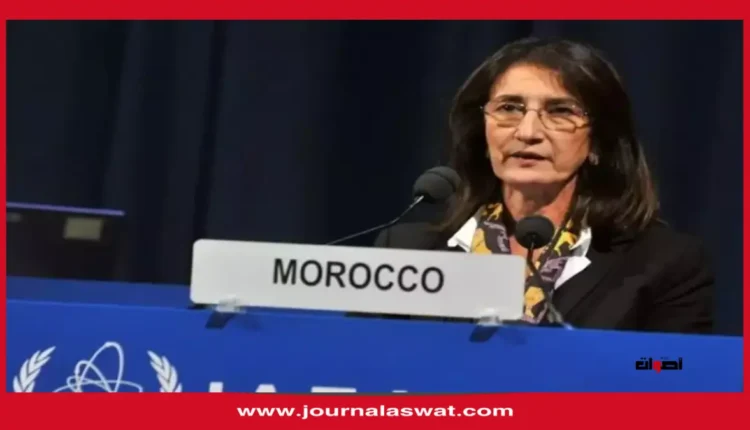 قمة الأعمال الأمريكية-الإفريقية.. المغرب ملتزم بالاضطلاع بدور ريادي في تنمية إفريقيا