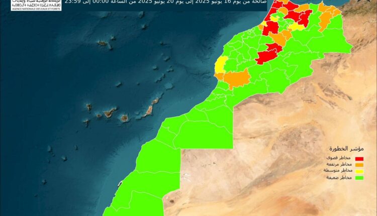 خرائط توقعية تحدد المناطق الأكثر عرضة لخطر حرائق الغابات