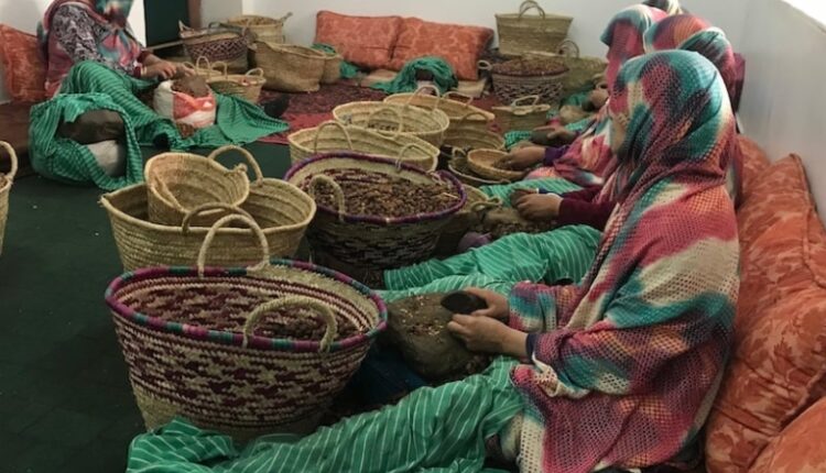 تاونات.. تمويل 64 مشروعا لفائدة التعاونيات بين 2019 و 2024 بحوالي 12 مليون درهم