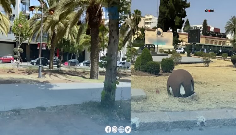 المساحات الخضراء بفاس تتحول إلى هشيم.. والساكنة تستنكر الإهمال البيئي