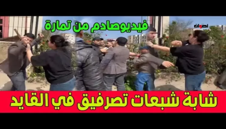محاكمة سيدة في تمارة إثر تعرضها لقائد مقاطعة بعد حجز سلعة لبائع متجول
