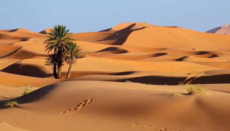 مقدونيا الشمالية تدعم مخطط الحكم الذاتي المغربي للصحرا
