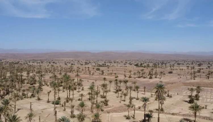  الجفاف يفرض رقابة صارمة على استهلاك المسابح الفاخرة