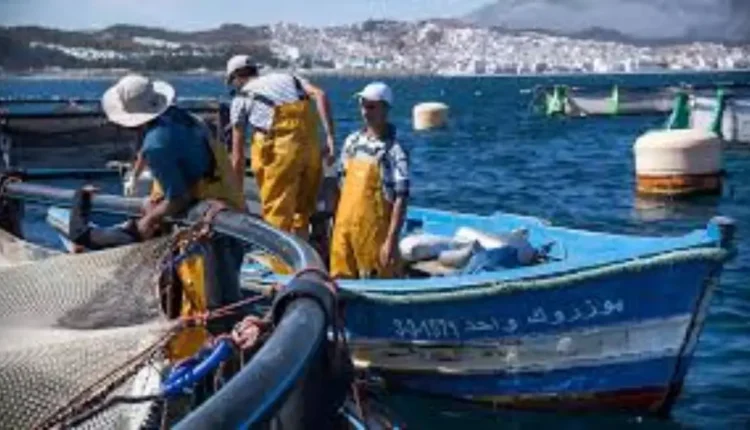 مندوبية الصيد البحري بطنجة تمنع القوارب التقليدية من الإبحار