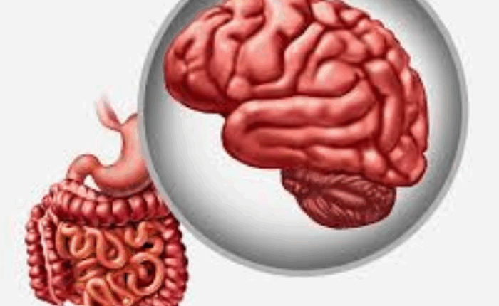 دراسة حديثة تكشف عن ارتباط بين إيقاعات المعدة والصحة النفسية