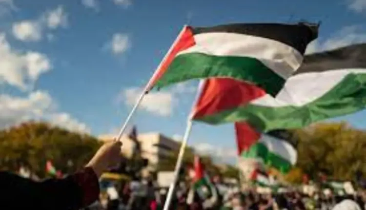 أغلبية من الأمريكيون يؤيدون الاعتراف بدولة فلسطين وفقًا لاستطلاع جديد