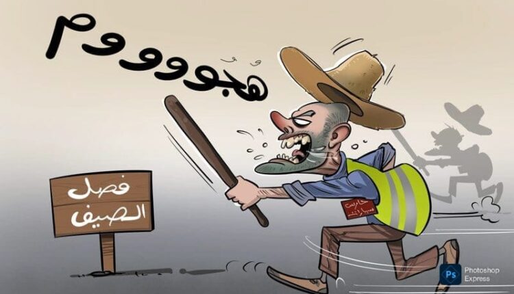حياد سلبي للسلطات تجاه أصحاب الجيلي الأصفر( الكارديانات )