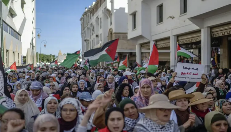 نقد من الداخل أم تطبيع من الخارج؟ قراءة في لقاءات المثقفين العرب و"الإسرائيليين"