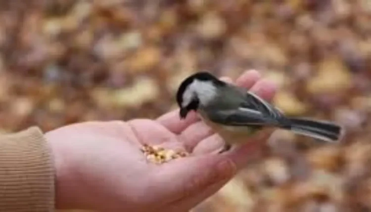 نصيب كل واحد من أعماله: تأمل في آية من سورة النساء