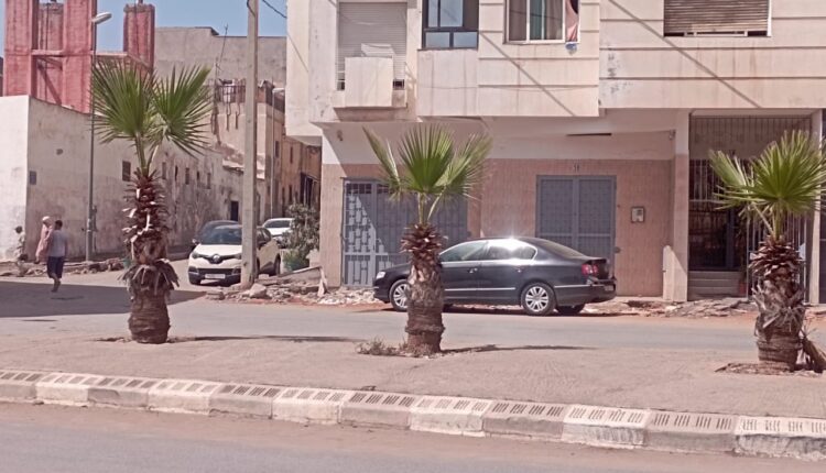 تأخر الأشغال بزنقة بلافريج وشارع الأزرق بالقبيبات تثير غضب الساكنة وتؤدي إلى إصابات في صفوف المواطنين