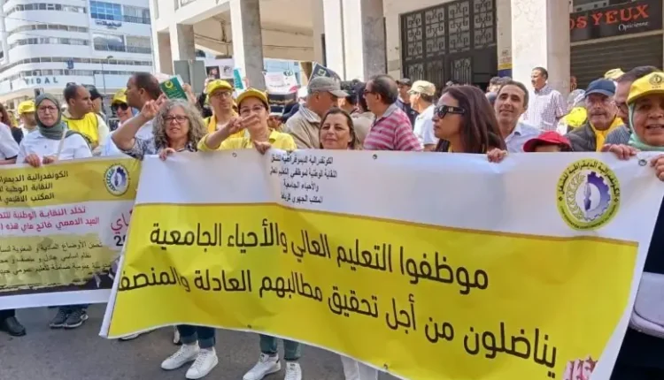  النقابة الوطنية للتعليم العالي تُعلن إضرابا إنذاريا ورفضالقانون التعليم الجديد