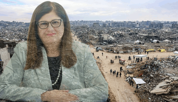 الدبلوماسية الفلسطينية من رياض المالكي إلى فارسين شاهين: الواقعية السياسية أم الانفصال الأخلاقي؟