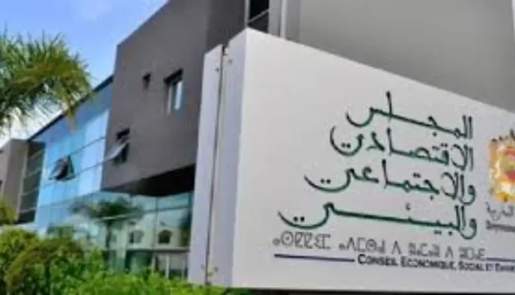 المجلس الاقتصادي والاجتماعي والبيئي يوصي بتسريع وتيرة تنفيذ خطة العمل الوطنية للنهوض بالشيخوخة النشيطة