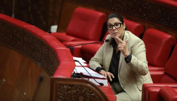 وزيرة إعداد التراب الوطني والتعمير والإسكان وسياسة المدينة، فاطمة الزهراء المنصوري