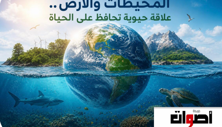 المحيطات والأرض.. علاقة حيوية تحافظ على الحياة