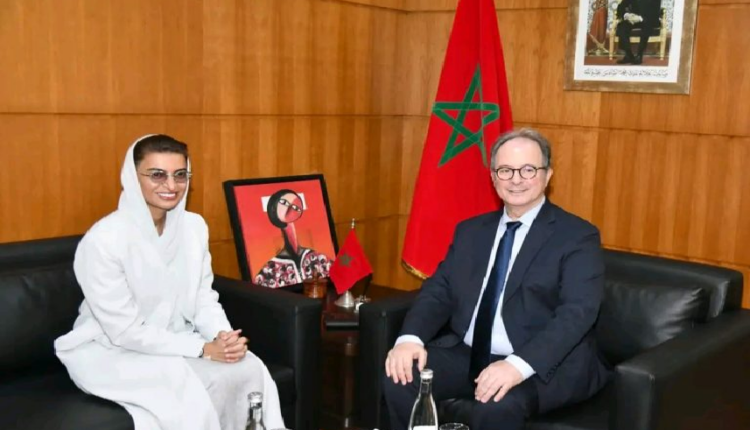 مباحثات مغربية إماراتية لتعزيز التعاون في مجال حقوق الإنسان