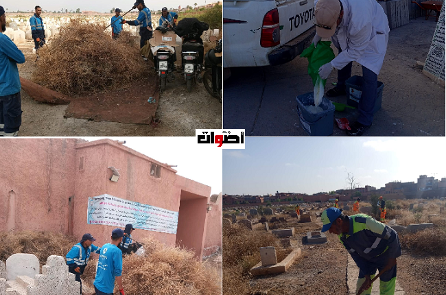 حرمة المقابر في المناسبات الدينية.. دعوات لاحترام الاختصاصات والمؤسسات