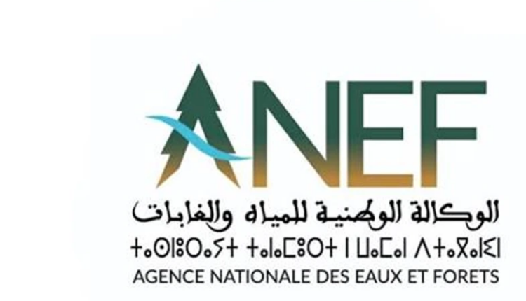 وكالة المياه والغابات تحدد الأقاليم الأكثر عرضة لخطر حرائق الغابات