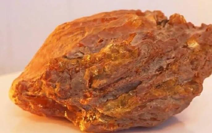 قطعة كهرمان نادرة في روسيا