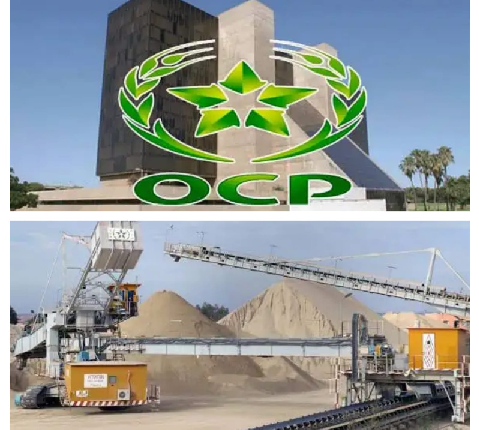 تراجع رقم معاملات OCP إلى 48.3 مليار درهم
