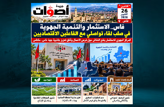 الاستثمار بجهة فاس مكناس